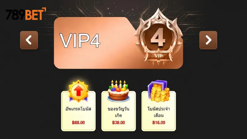 เจาะลึกสิทธิพิเศษและรางวัลสุดเอ็กซ์คลูซีฟของสมาชิก VIP